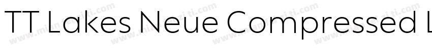 TT Lakes Neue Compressed Light字体转换